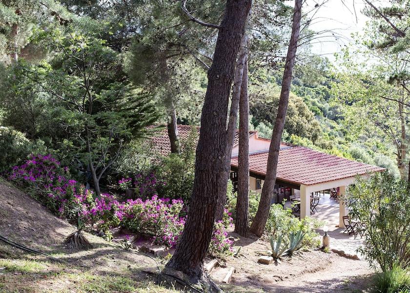 Corsica Galeria Garden
