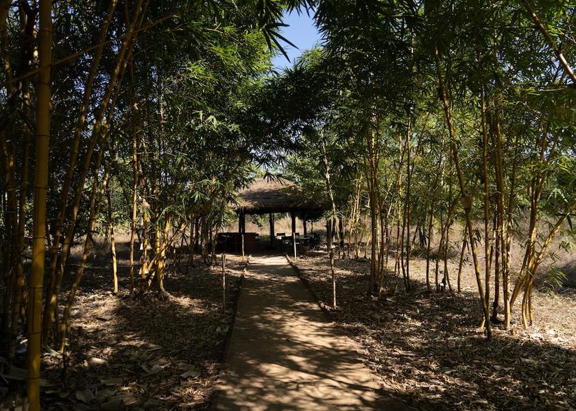 Madhya Pradesh Parasi Primary image