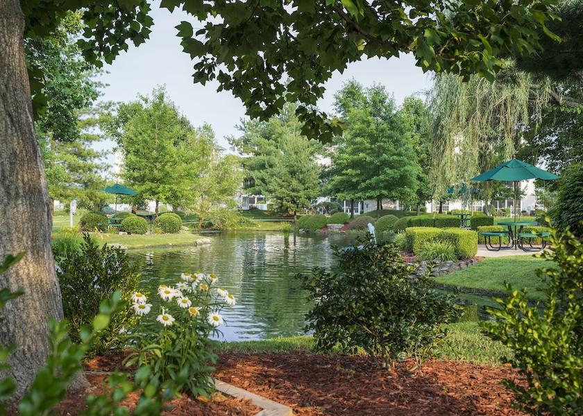 Missouri Branson View from Property