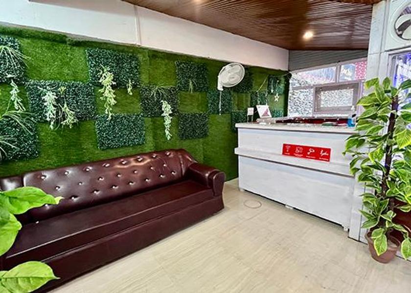 Himachal Pradesh Palampur Public Areas