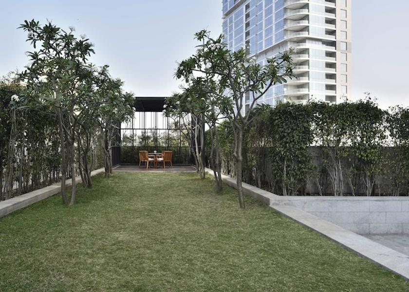 Karnataka Bangalore Terrace