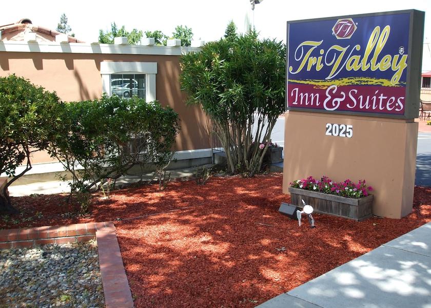 California Pleasanton Primary image