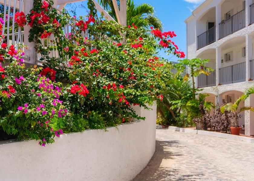  Grand Case Reception