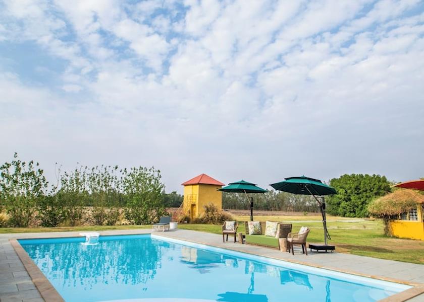 Gujarat Dasada Pool