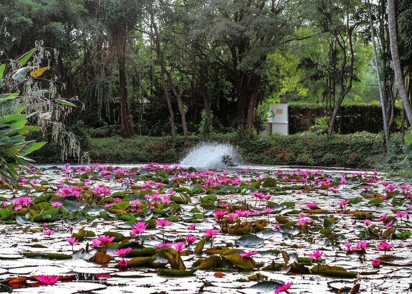 Phuket Province Mai Khao View from property