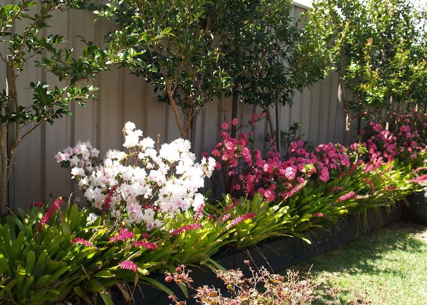 New South Wales Ulladulla Garden