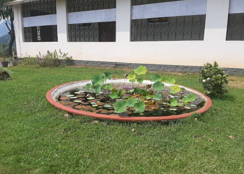 Kerala Palakkad Outdoors
