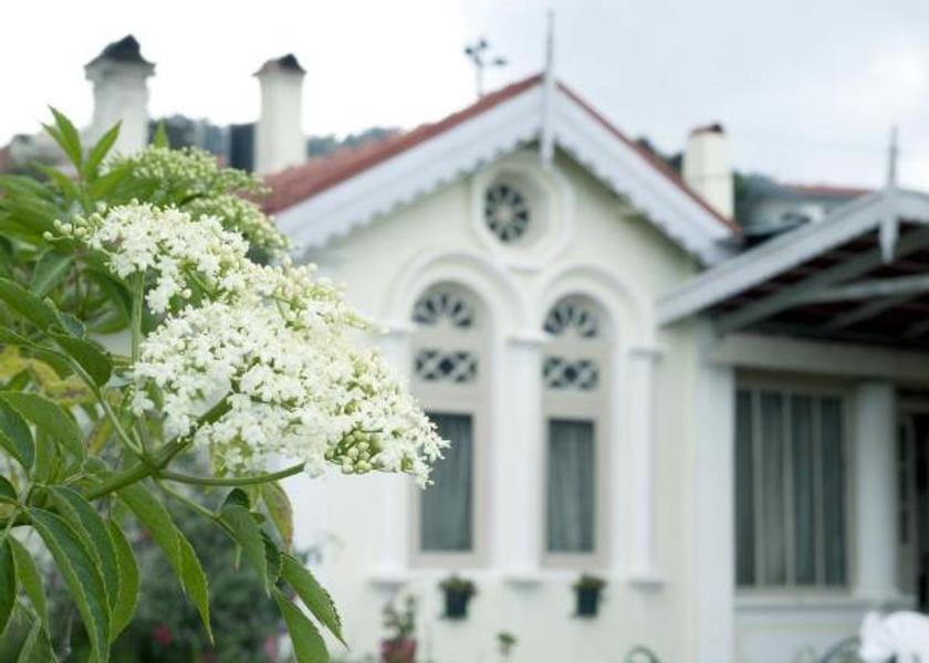 Tamil Nadu Ooty Hotel Exterior