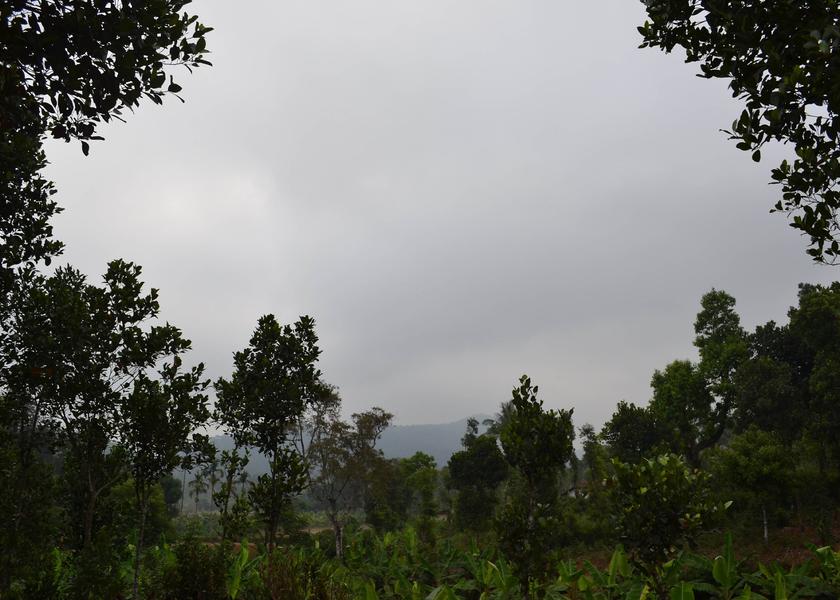 Karnataka Coorg Hotel View
