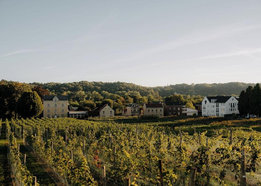Limburg Valkenburg aan de Geul Winery