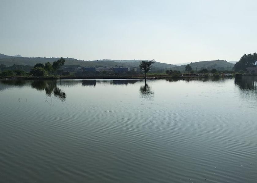 Andhra Pradesh Puttaparthi Hotel View