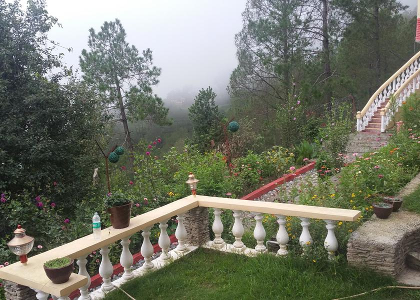 Uttarakhand Ranikhet Neighbourhood