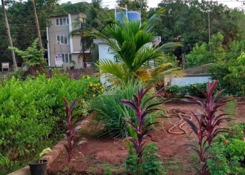 Maharashtra Kolhapur Outdoors