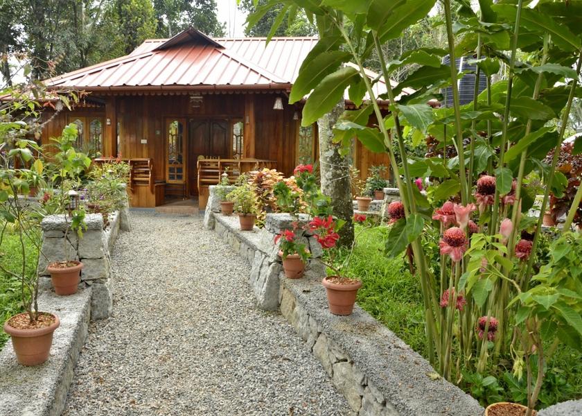Kerala Munnar Outdoors