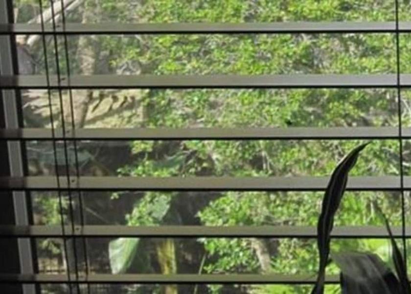 Florida St. Augustine View from Property