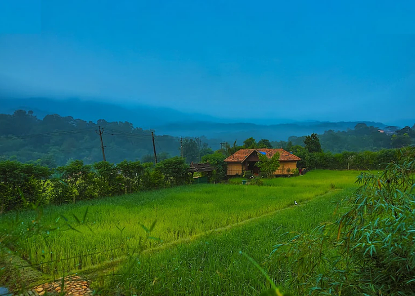 Kerala Wayanad Property Grounds