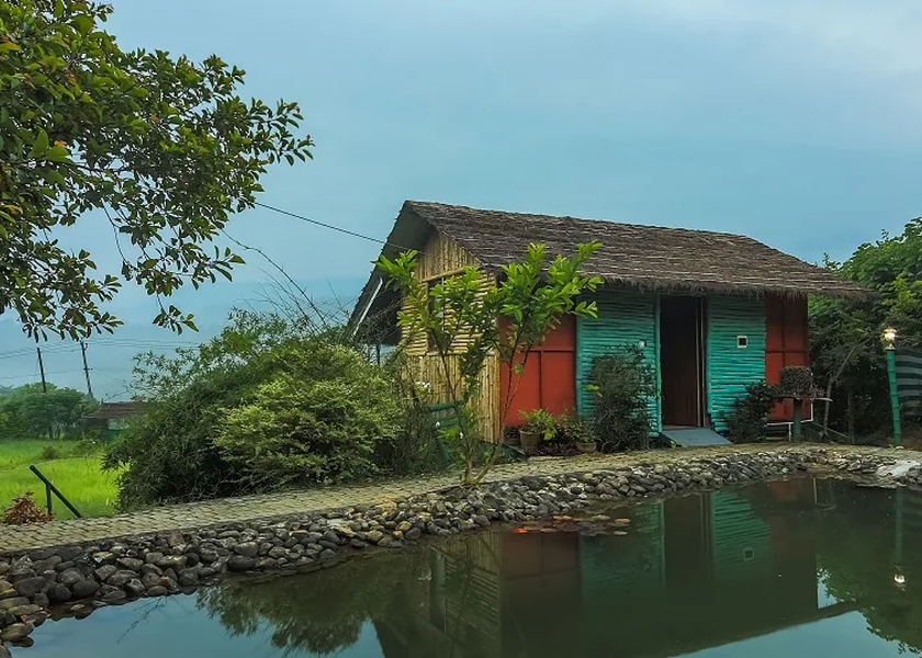 Kerala Wayanad Property Grounds