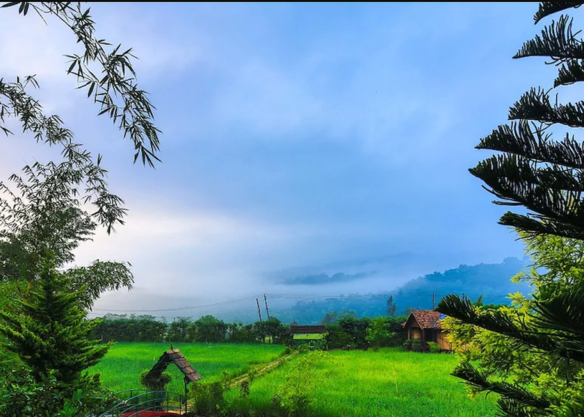 Kerala Wayanad View from Property