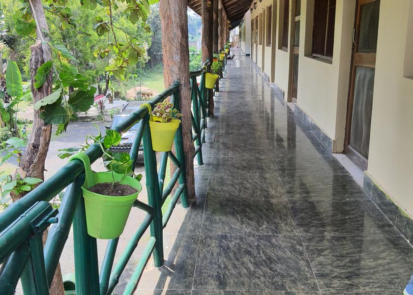 Madhya Pradesh Tala Outdoors