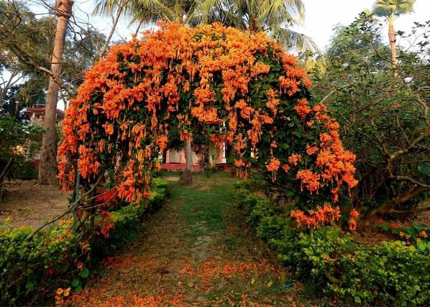 West Bengal Bolpur Garden