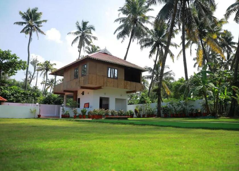 Kerala Kochi Outdoors