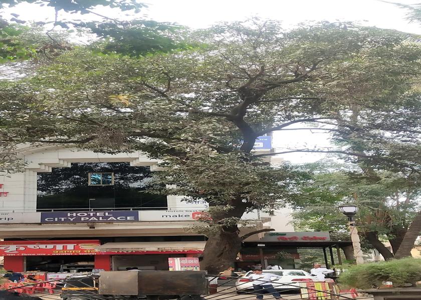 Maharashtra Nashik Hotel Exterior