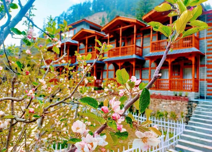 Himachal Pradesh Jibhi Hotel Exterior