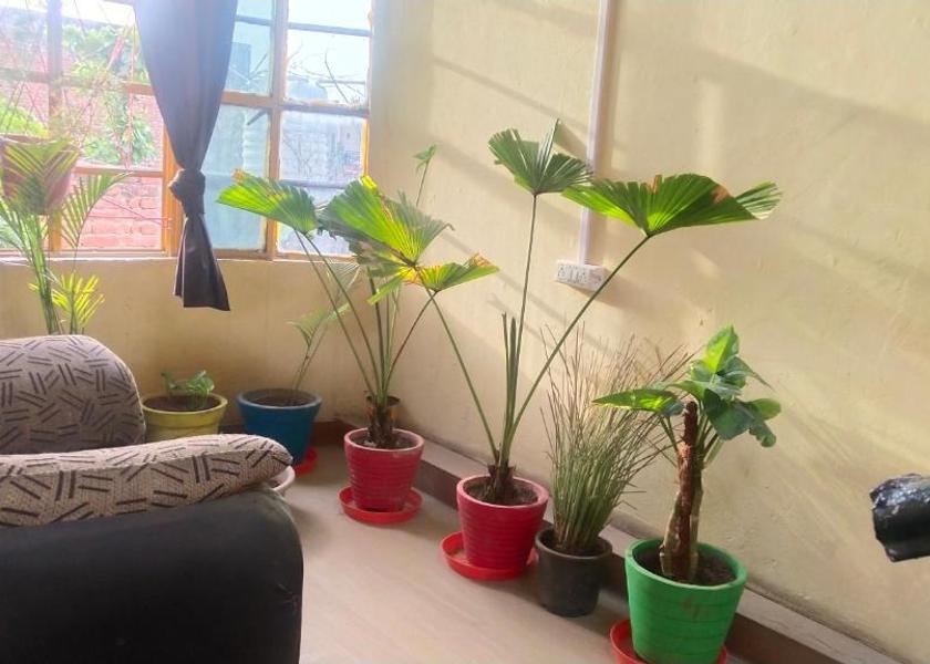 Uttar Pradesh Mathura Public Areas