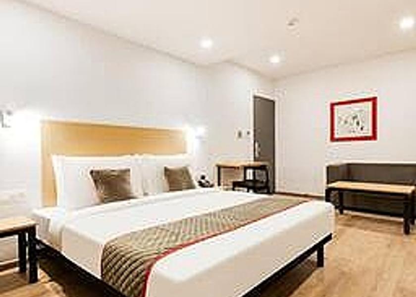Andhra Pradesh Vijayawada Suite