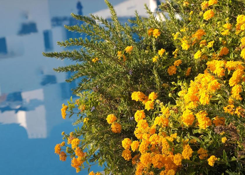 Faro District Albufeira View from Property