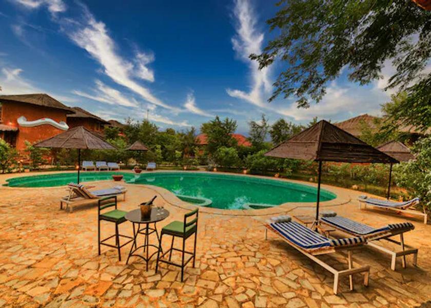 Rajasthan Sawai Madhopur Pool