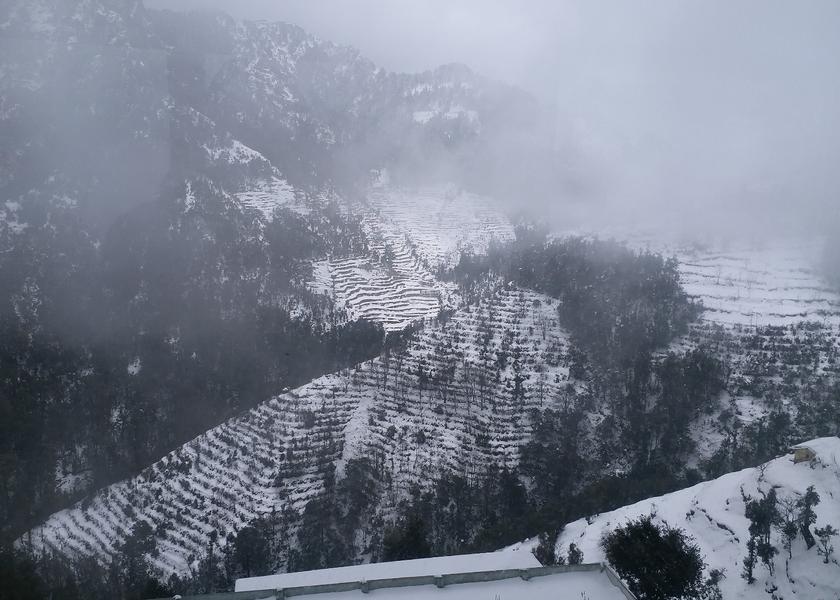 Uttarakhand Dhanaulti Deluxe Double Room