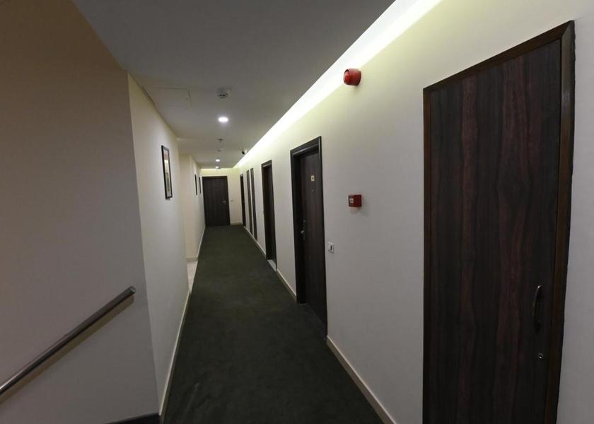 Himachal Pradesh Kasauli Public Areas