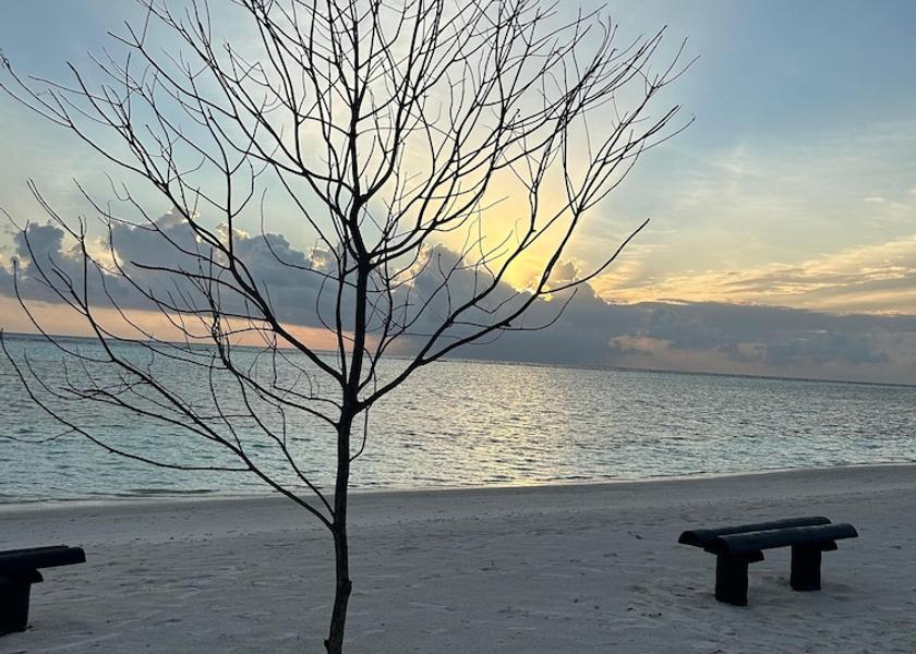 Kaafu Atoll Kaashidhoo Beach