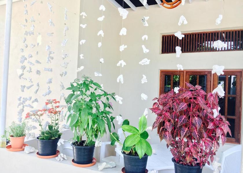 Kaafu Atoll Thulusdhoo Island Terrace