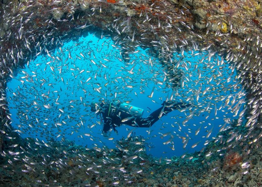North Ari Atoll Bathala Island Exterior Detail
