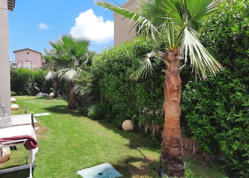 Matrouh Governorate El Alamein Garden
