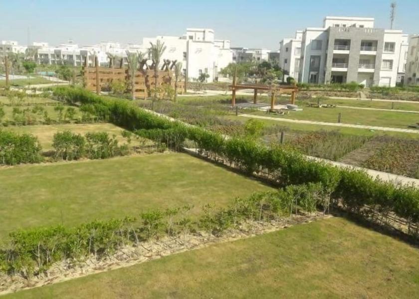 Matrouh Governorate El Alamein Garden