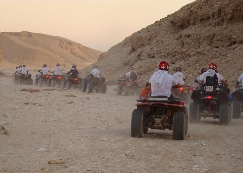Luxor Governorate Luxor Game drive