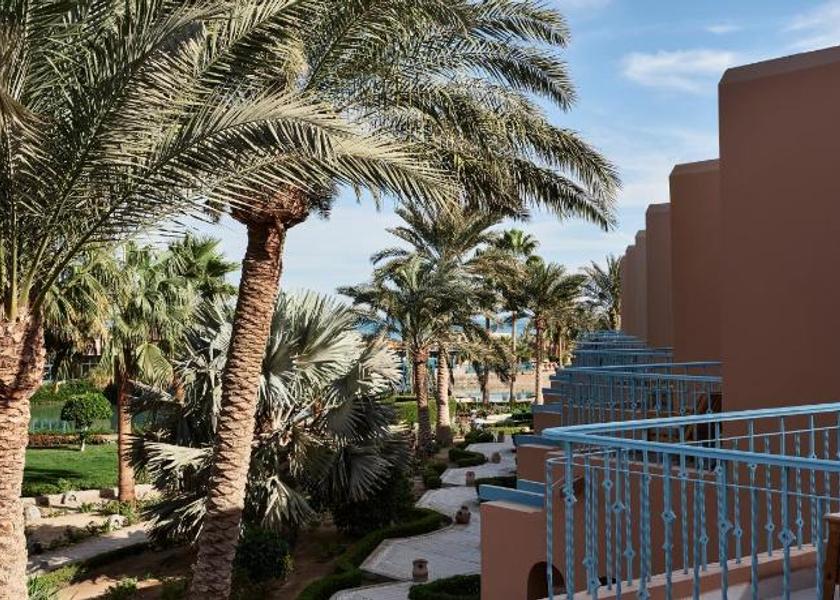 Red Sea Governorate El Gouna 