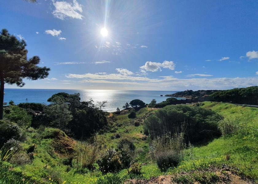 Faro District Albufeira Exterior Detail