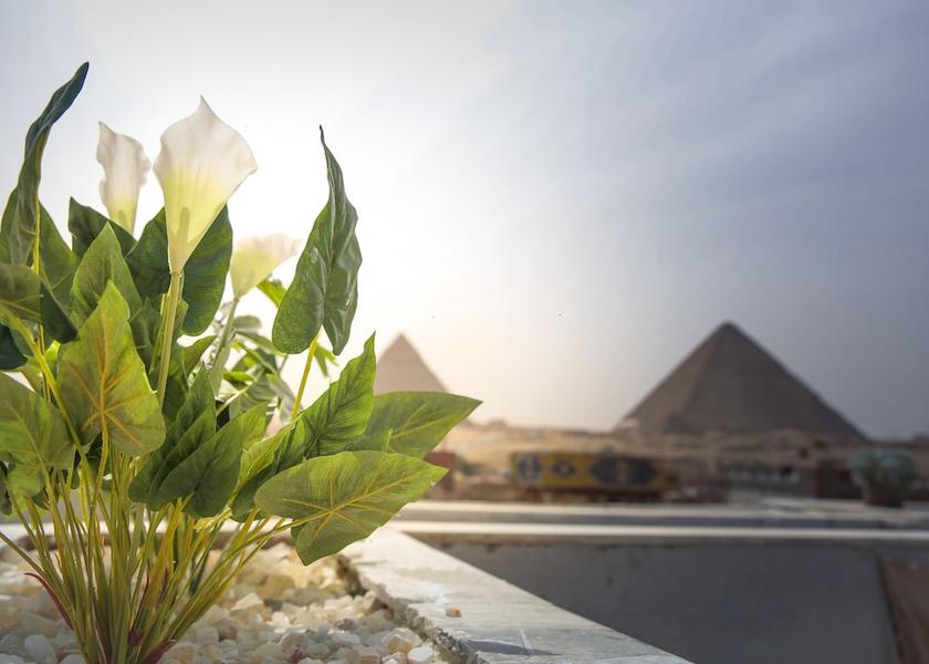 Giza Governorate Giza Sundeck