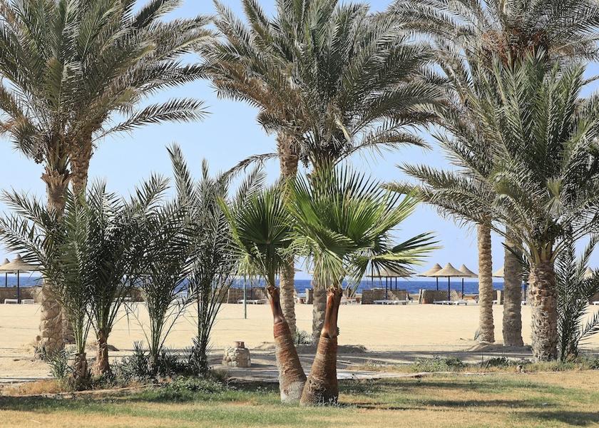  El Quseir Exterior Detail