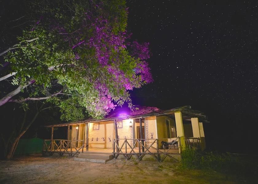 Madhya Pradesh Kanha Room