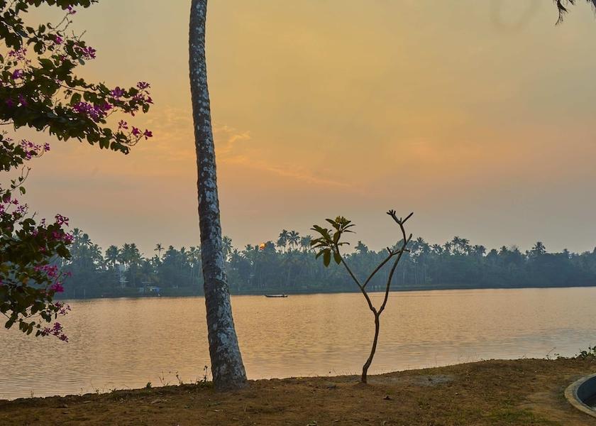 Kerala Kochi Property Grounds