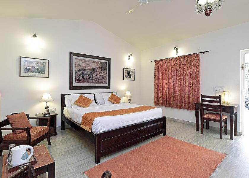 Rajasthan Jaipur Room