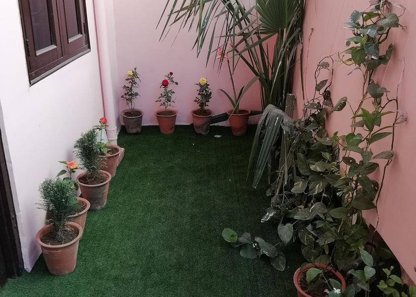 Rajasthan Jaipur Outdoors