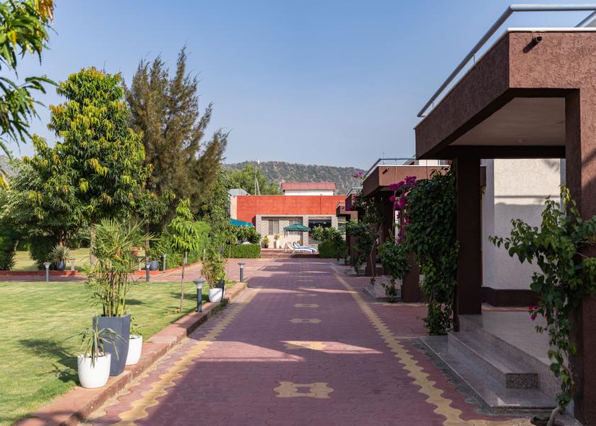 Rajasthan Pushkar Outdoors