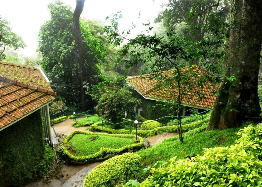 Kerala Munnar Outdoors