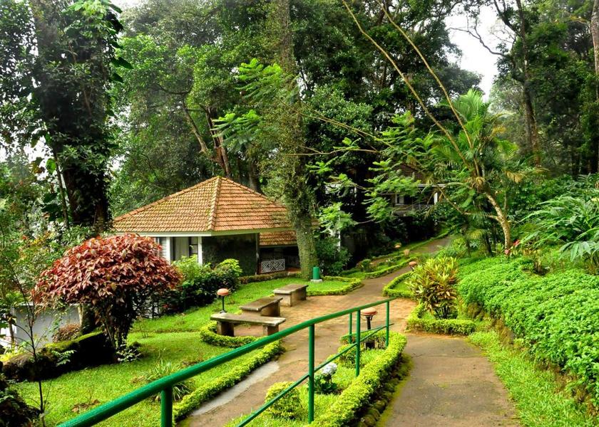 Kerala Munnar Outdoors